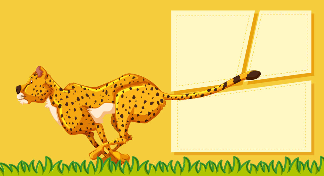 cheetah tool